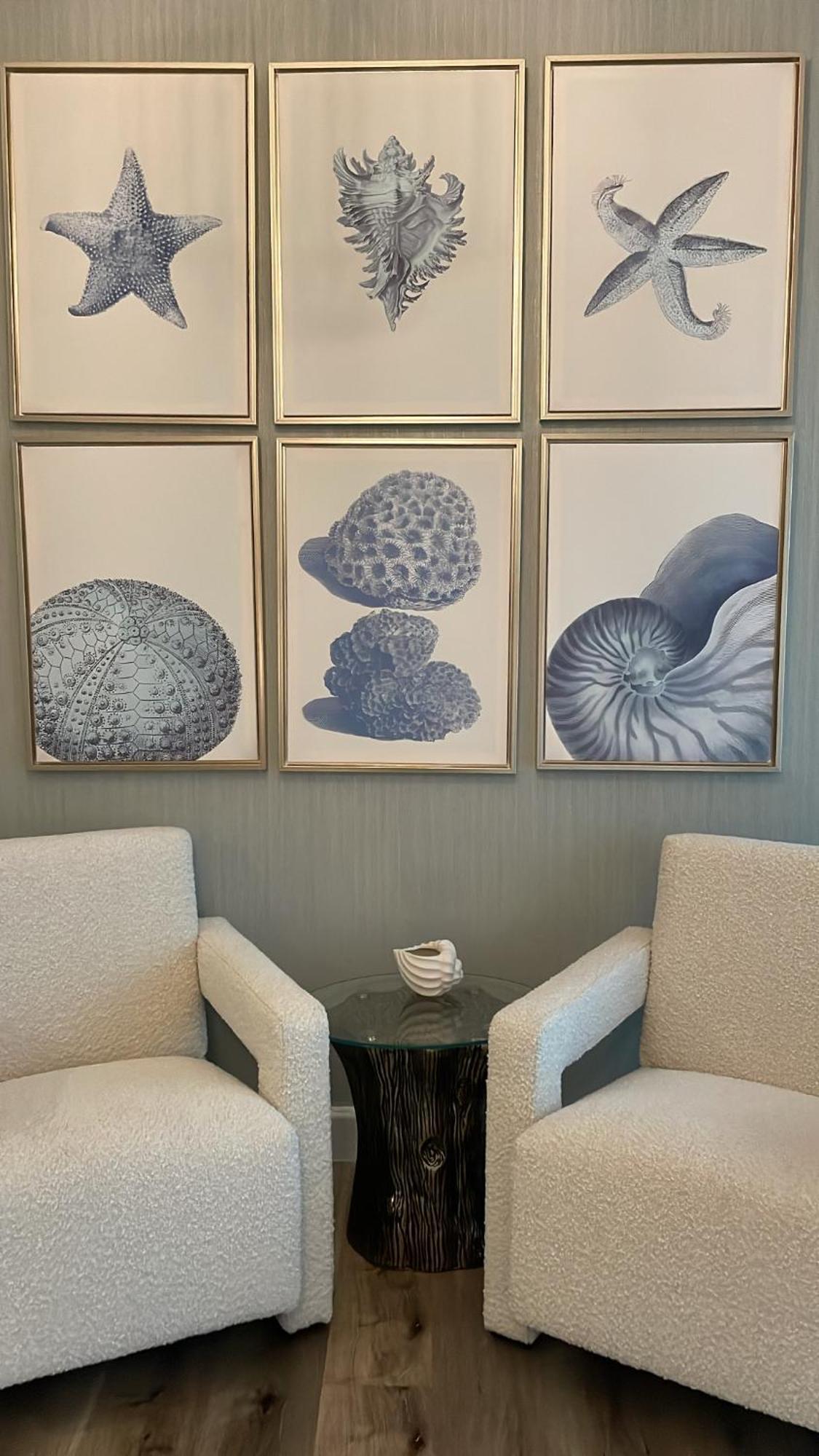 Coral Apartment *